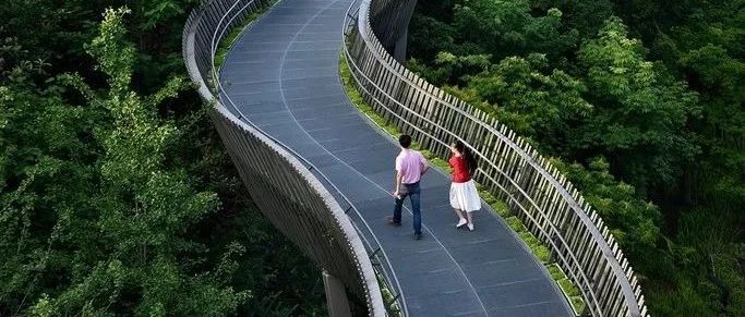 2023年《时间的朋友》跨年演讲最感人的故事：一条绿道连通42座公园，春风十里，就在身边