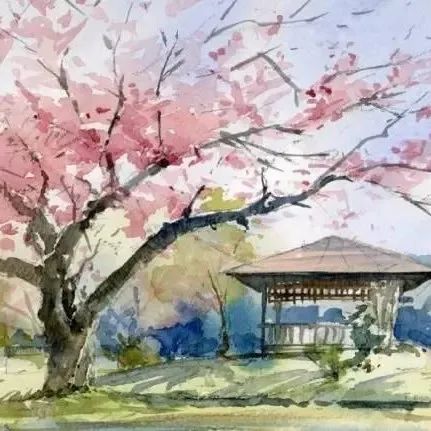 日本艺术家 Osamu Shibata 水彩手绘速写