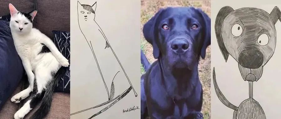 天了噜！猫猫狗狗画成这样，还能约稿无数？！