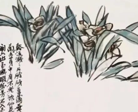 水仙花开，赏吴昌硕笔下水仙