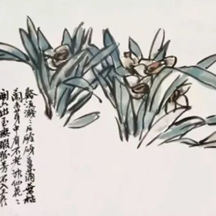 水仙花开，赏吴昌硕笔下水仙