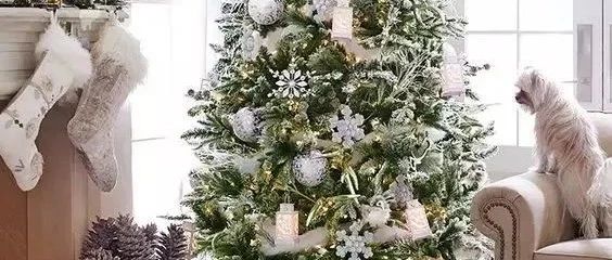 用高级的云杉做一棵活的圣诞树，让圣诞活起来