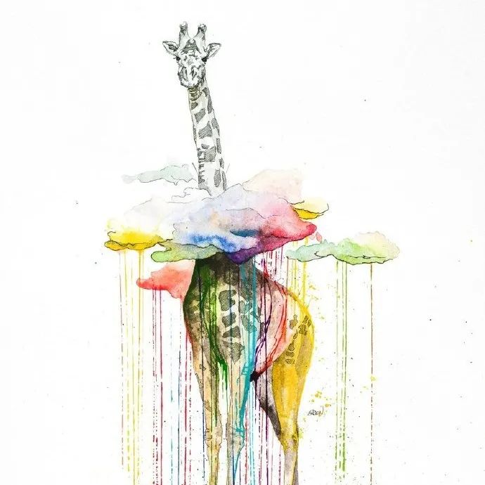 水彩动物  艺术家 Philipp Grein绘画作品欣赏
