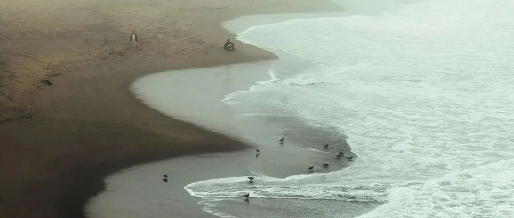 在不旅行的日子里，你过得怎么样？