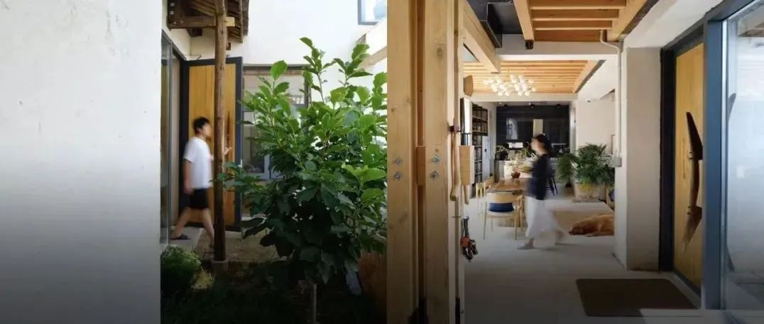 青岛夫妻在云南：一次花掉200万积蓄的移居实验