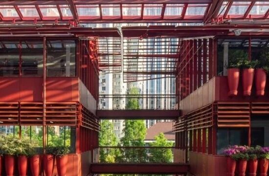 BLSI分享 | 中国红