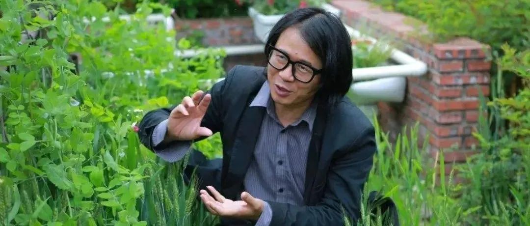 四叶草堂刘悦来老师：普通人也能成为城市景观创造者