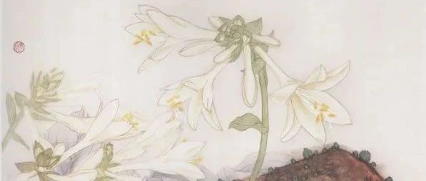 玉簪的工笔画法步骤图解