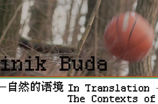 Dominik Buda：在创作中质疑我所看见的