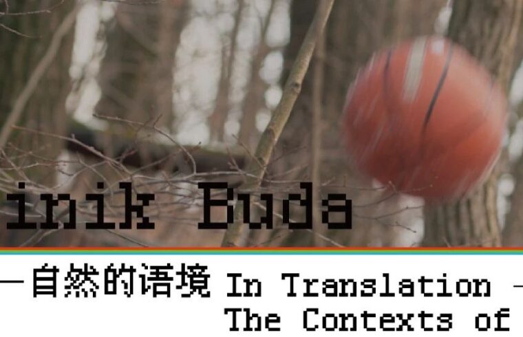 Dominik Buda：在创作中质疑我所看见的