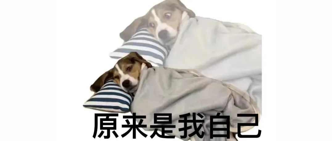 终于能出门了，让我看看是谁还没有回公司上班