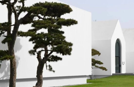 「松」年度盘点&nbsp;|&nbsp;沉淀过往，迎接新光。