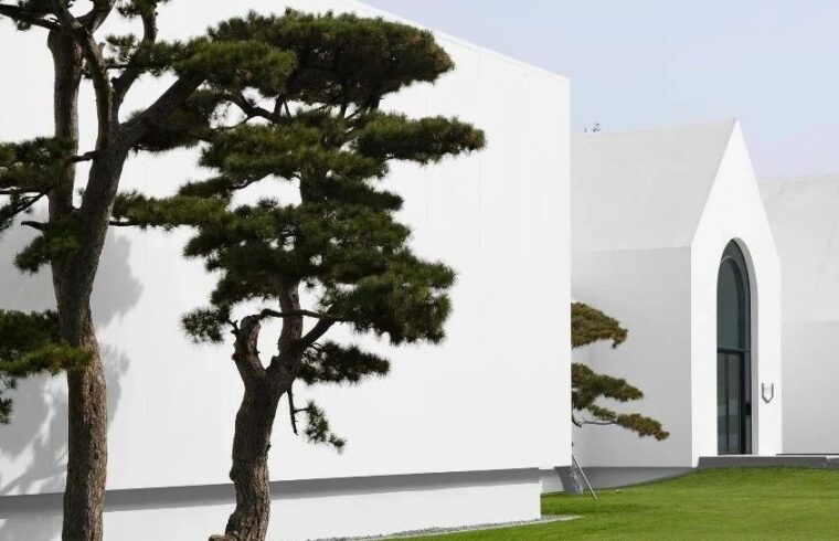 「松」年度盘点&nbsp;|&nbsp;沉淀过往，迎接新光。