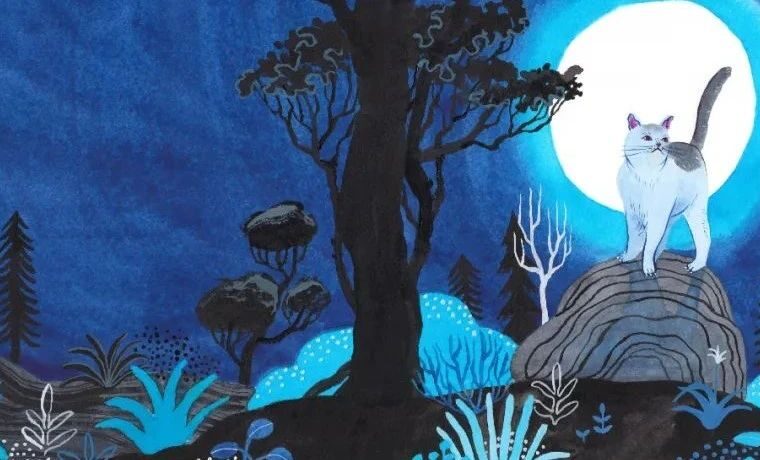 获奖作品《小贝流浪记》｜奇幻的故事 温馨的画面