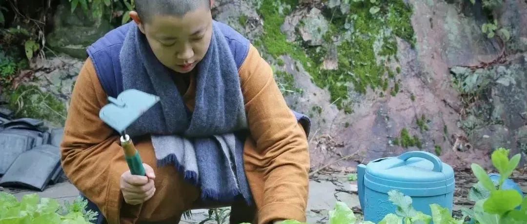 圆慧师父的一天，寻找“禅”最接地气的模样。