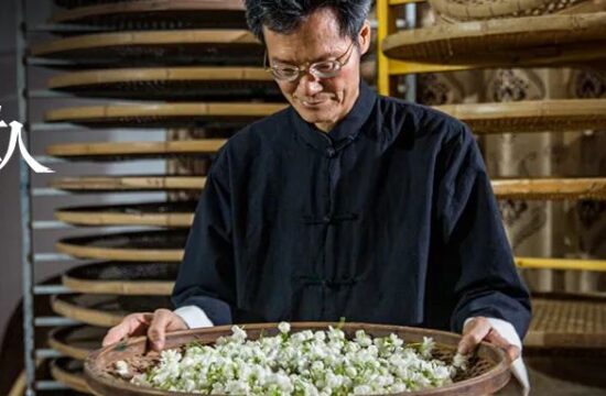 春天的第一口茉莉，把所有不甘都变成回甘