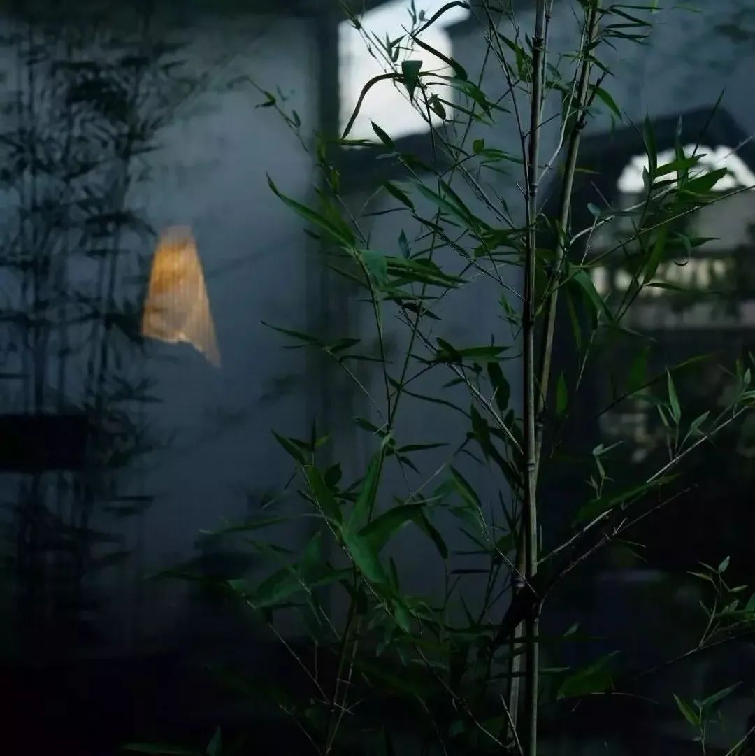 幽竹怀古致，竹能医人俗