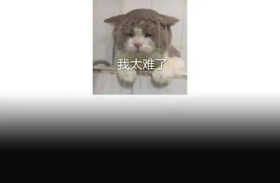 477天没有版号的独立游戏开发者，心碎了