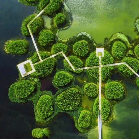 一年一度 | 第六届现代城市滨水空间规划与景观环境设计国际研讨会