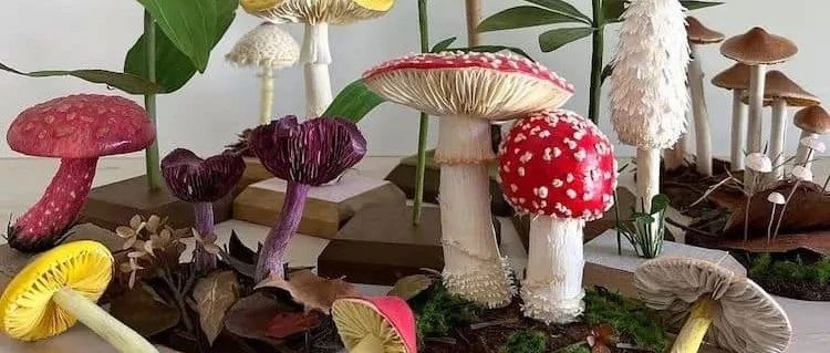 ​她用纸做的蘑菇，因为太逼真，说是假的都没人信