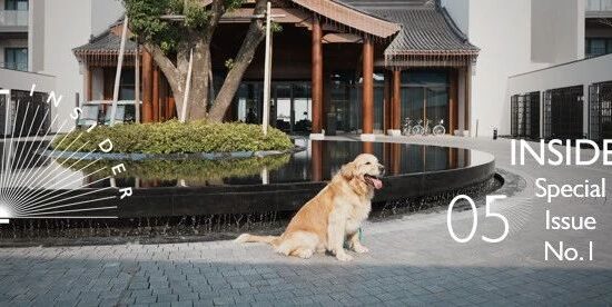 这间IHG新秀教会我：挚爱的酒店，一定是跟你挚爱的TA共赏的