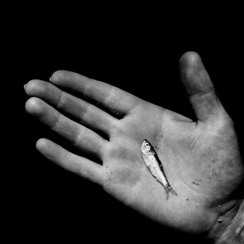 影像｜抽象主义摄影大师：亚伦·西斯金德
