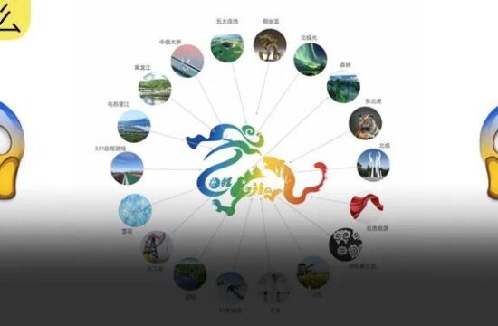 又被惊讶到，黑龙江Logo设计融入18种特色元素！