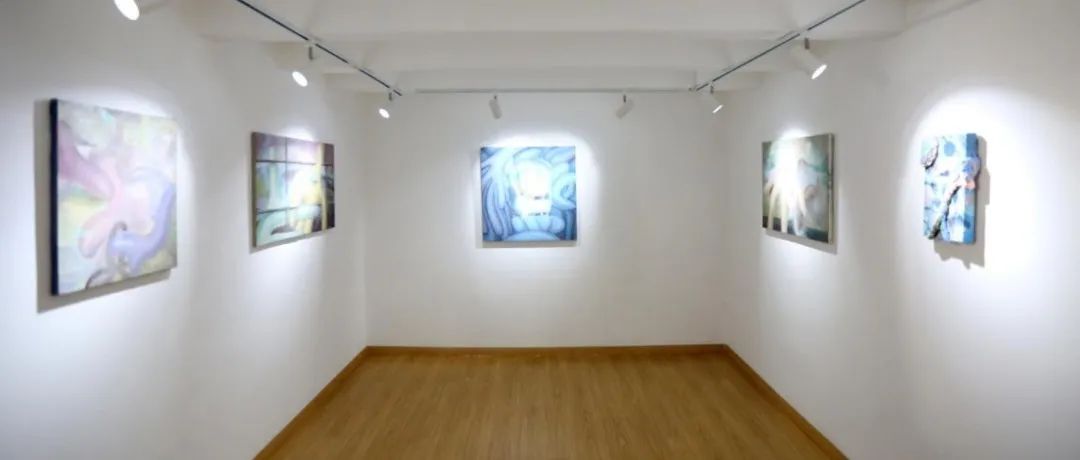 Marie·ée Gallery画廊代理艺术家｜惠雨舸个展现场精彩回顾