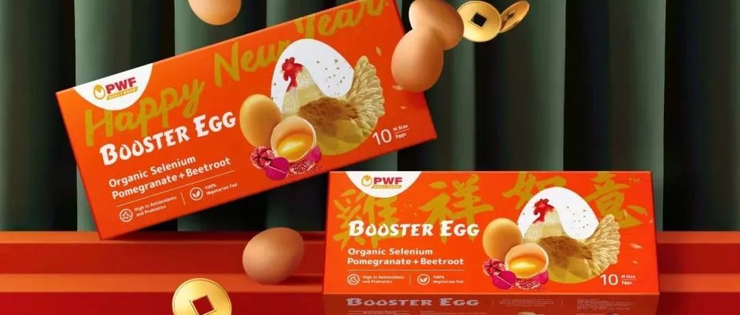 吉祥如意新春版农产品包装设计