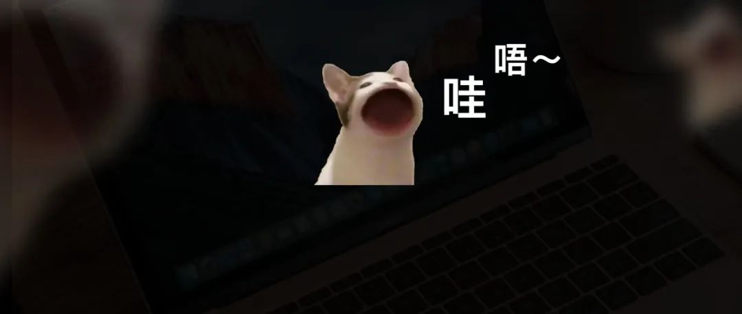 全网爆火 | 把回收站变成小猫，让它来吃掉你不要的文件。