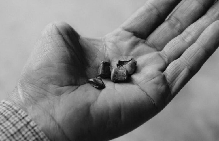 时间和死亡的痕迹