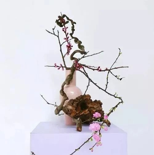 一瓶 一花 一境