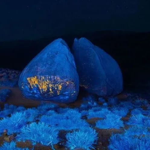 美得不像话，摄影师用紫外线摄影，让你看到一个神奇的世界