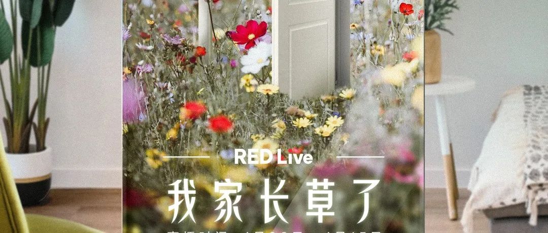 ​聚焦疫情“宅经济”，小红书构建线上直播新生态