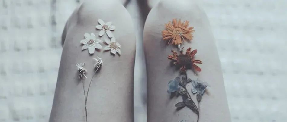 花儿与少女