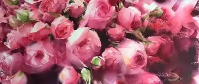 这些花卉太美了吧 花卉届天花板了