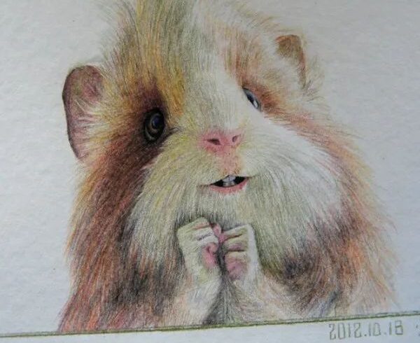谷少将彩铅画绘画作品欣赏