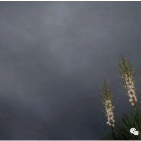 走到了破产