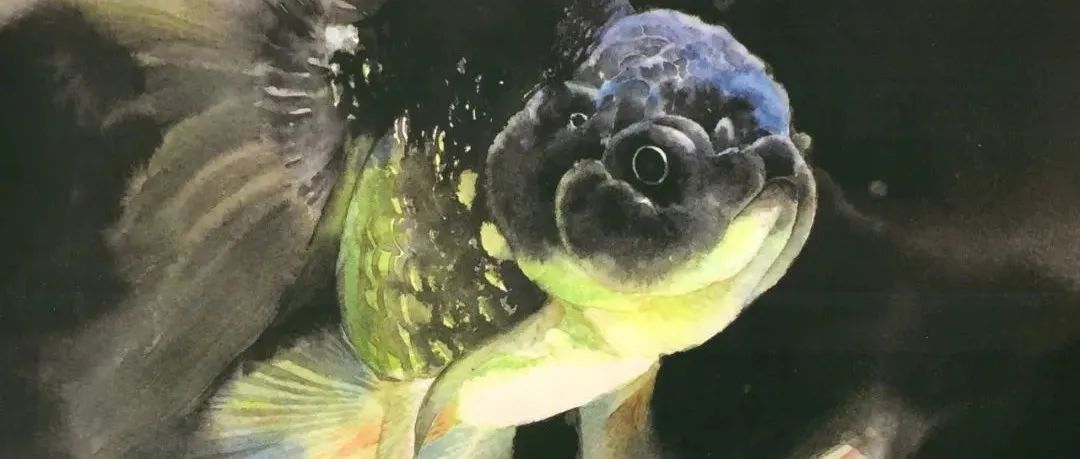 一周问藏：水彩画的诗情画意与光影变幻