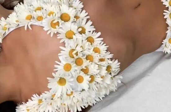 与花共舞