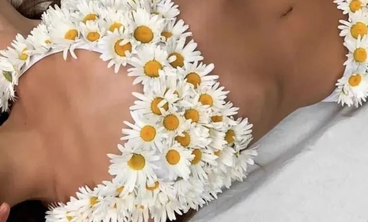 与花共舞