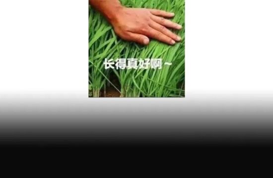 游戏公司也会被割韭菜？23亿理财产品爆雷，米哈游莉莉丝齐起诉……