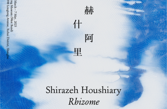 2023年3月正在展出 | 施拉泽·赫什阿里 (Shirazeh Houshiary) 个展「根茎」| 龙美术馆