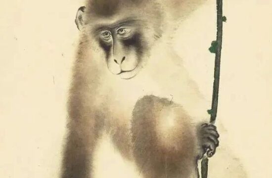 张坤仪作品雅赏