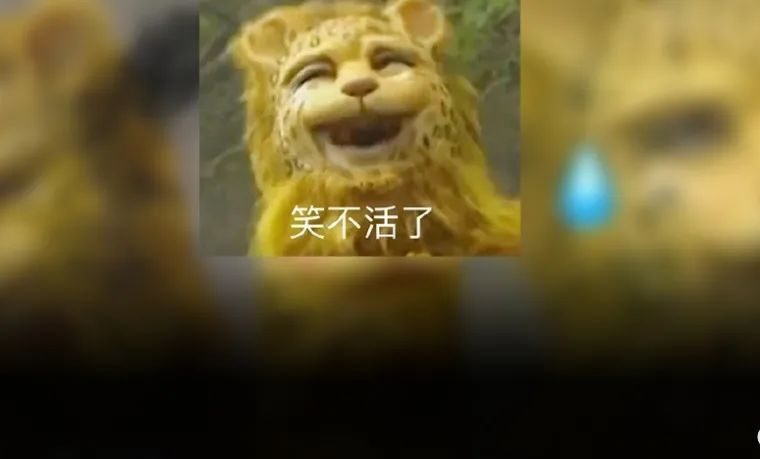 一夜之间，朋友圈全换上了豹子头？