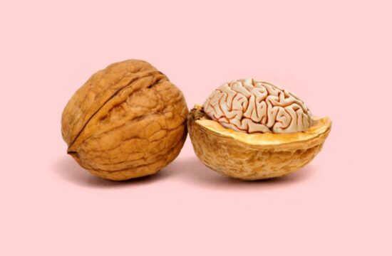 核桃脑、狗子猪，他把不相干的东西硬凑一起，看出不对劲儿了吗