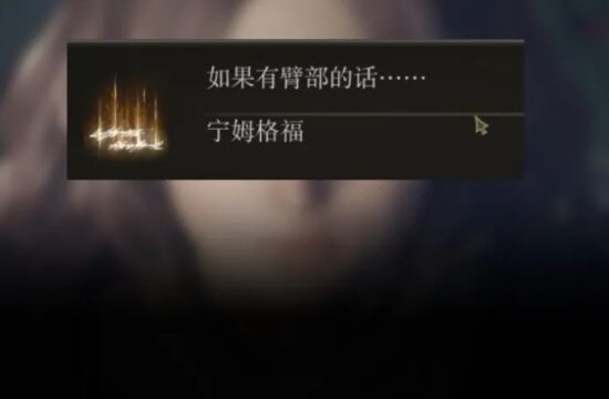 《艾尔登法环》的讯息系统，被“哥哥”们玩坏了……