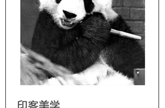 被疑“虐待”大熊猫回国，吸金力曾有多强？