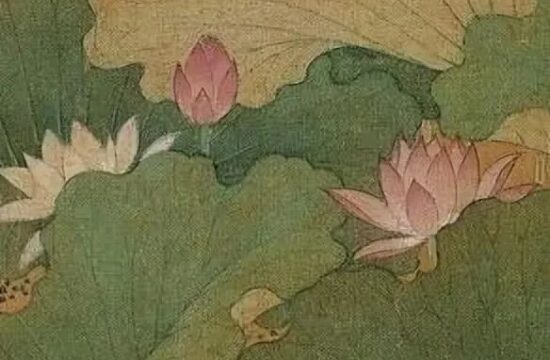 《太液荷风图》雅赏