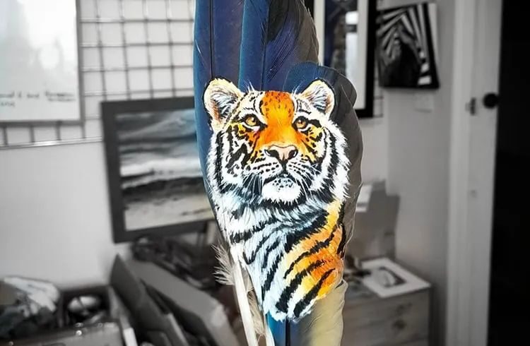 羽毛画家：没有一只鸟因为画画，而受到伤害